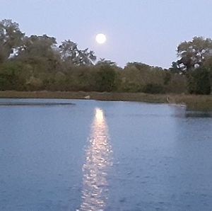 Meet your Posher, Gene